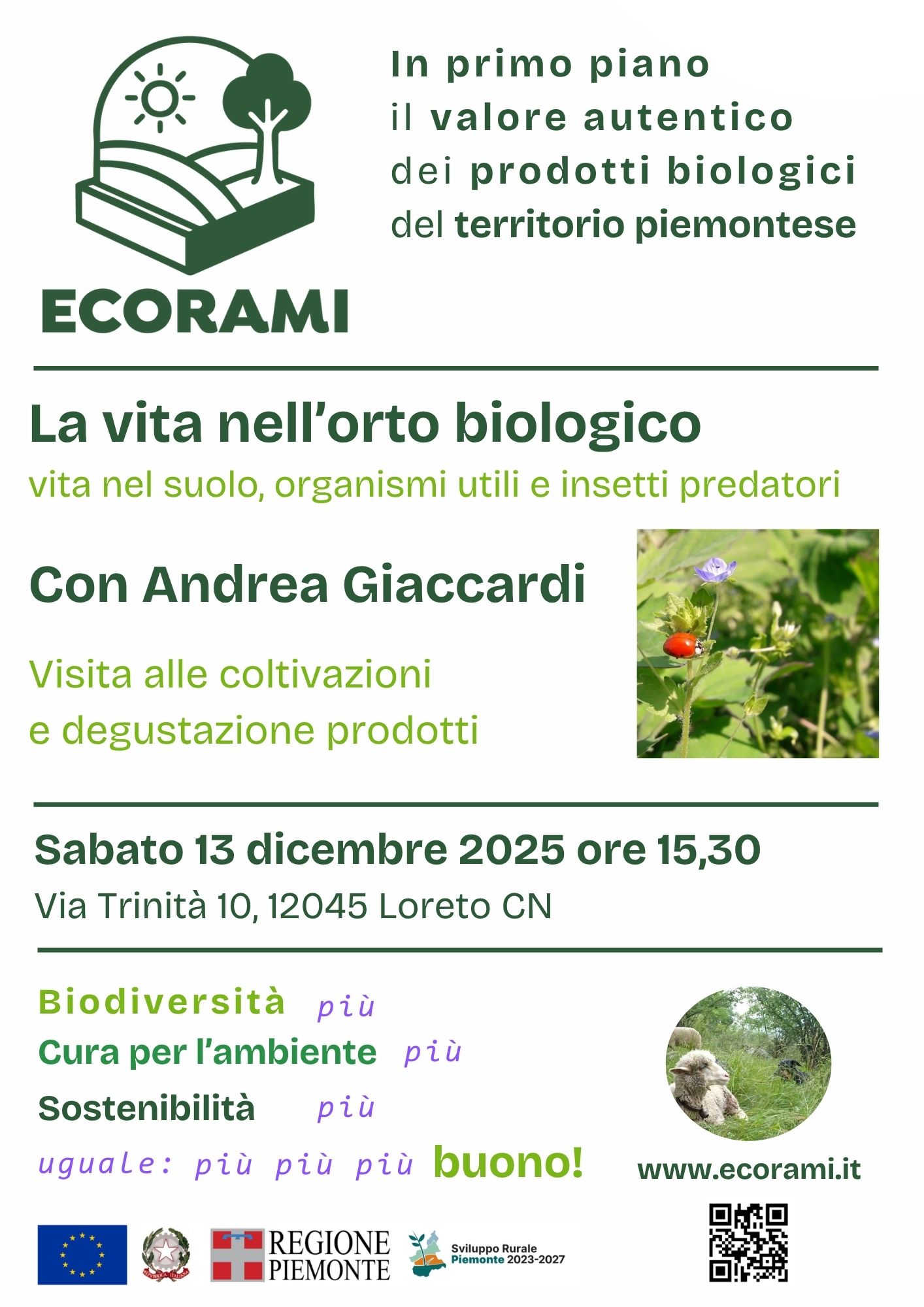 La vita nell’orto biologico