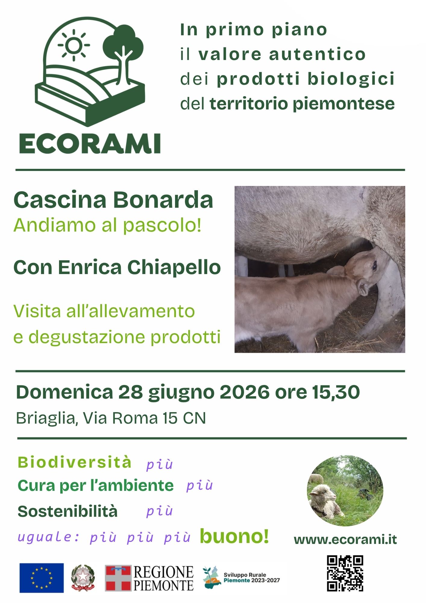Andiamo al pascolo! (28/6)