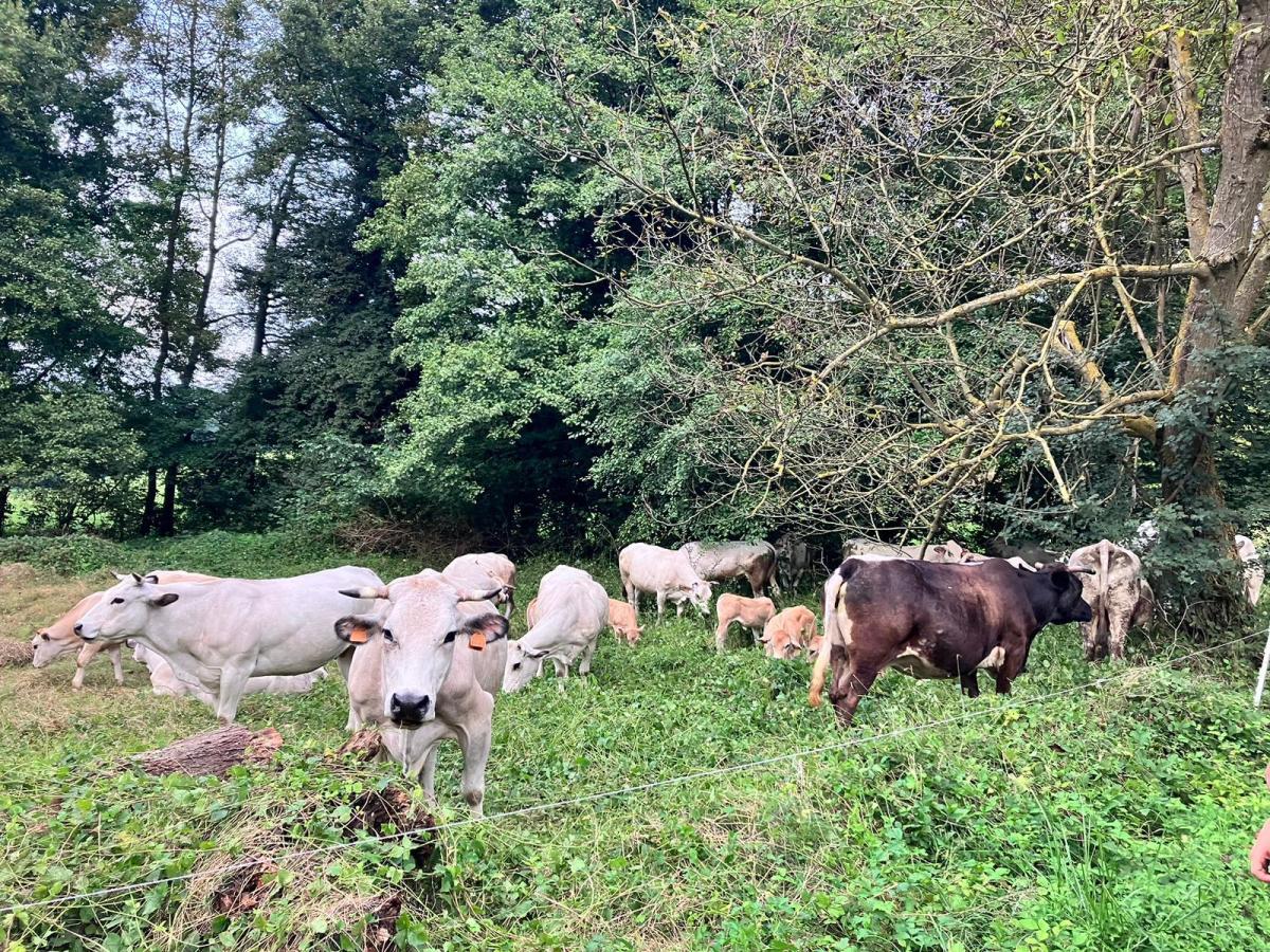 Gli animali, dobbiamo avere il massimo rispetto della loro&nbsp;esistenza