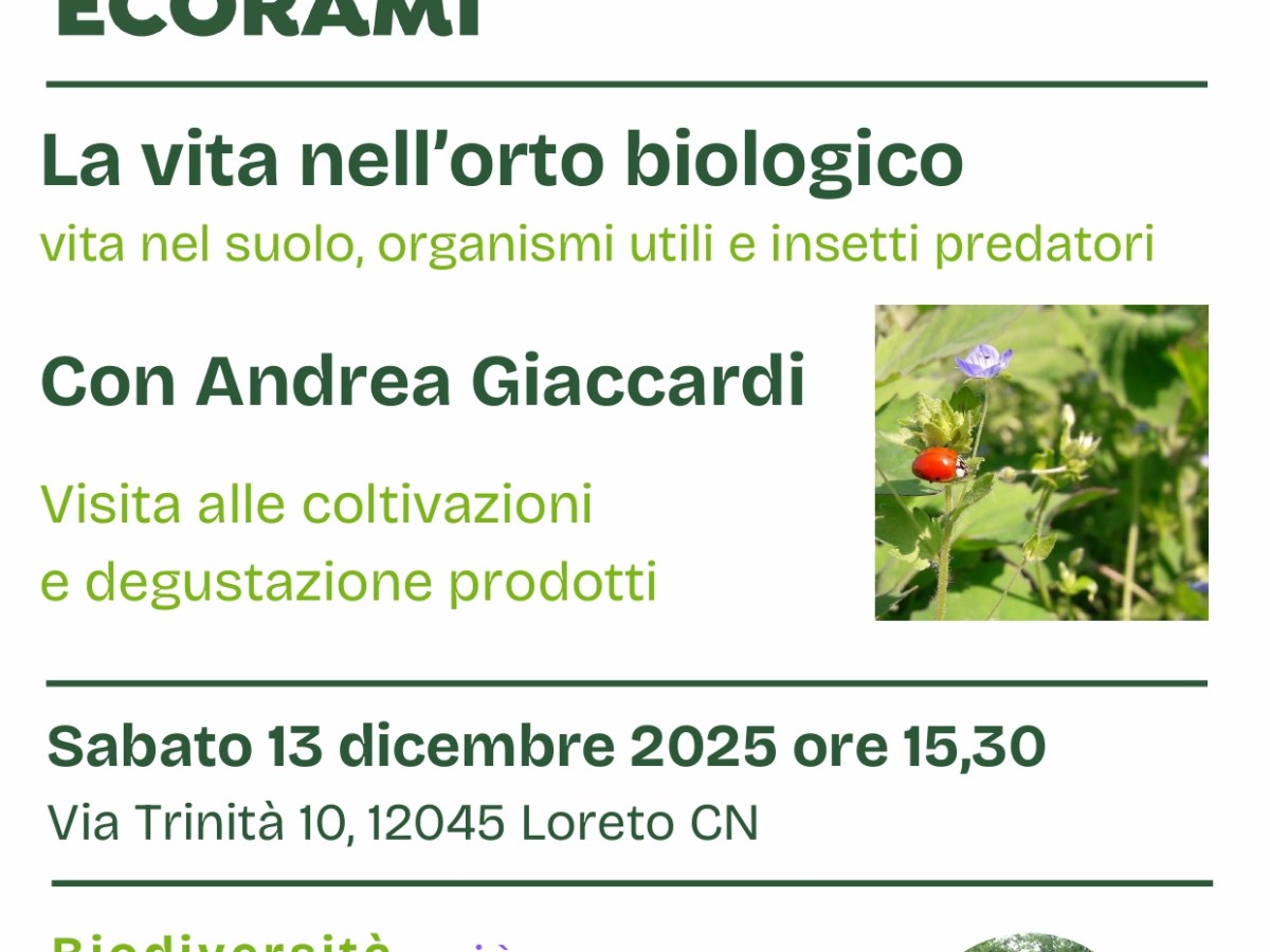 La vita nell’orto&nbsp;biologico
