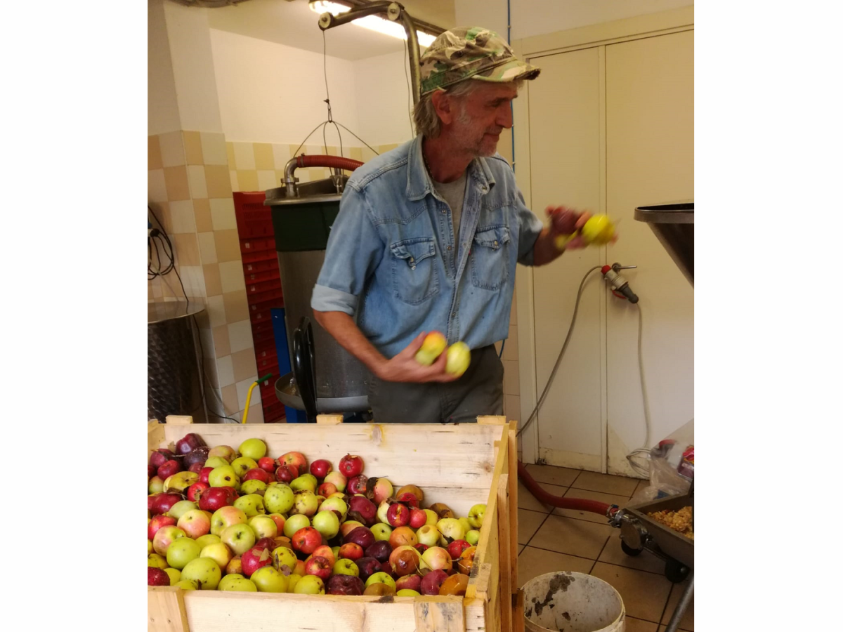Occorre frutta buona per fare un succo&nbsp;buono