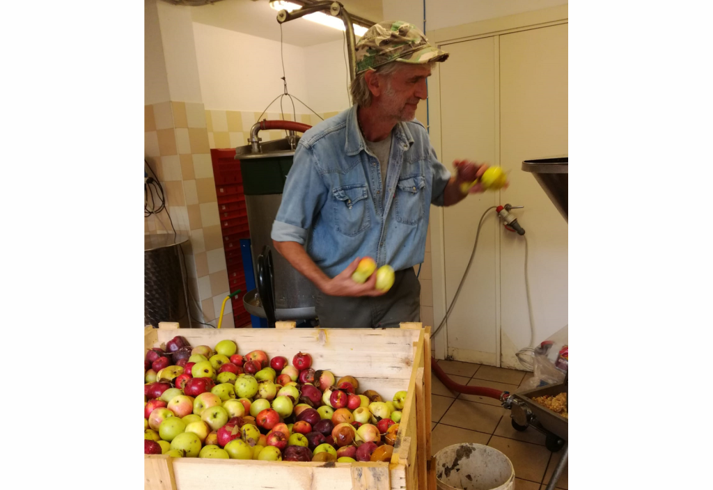 Occorre frutta buona per fare un succo&nbsp;buono