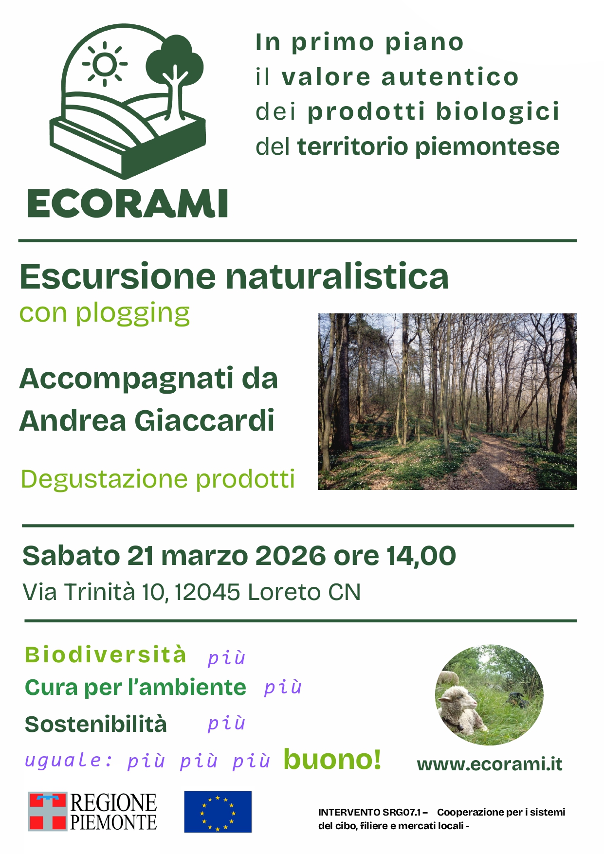 Escursione naturalistica con plogging