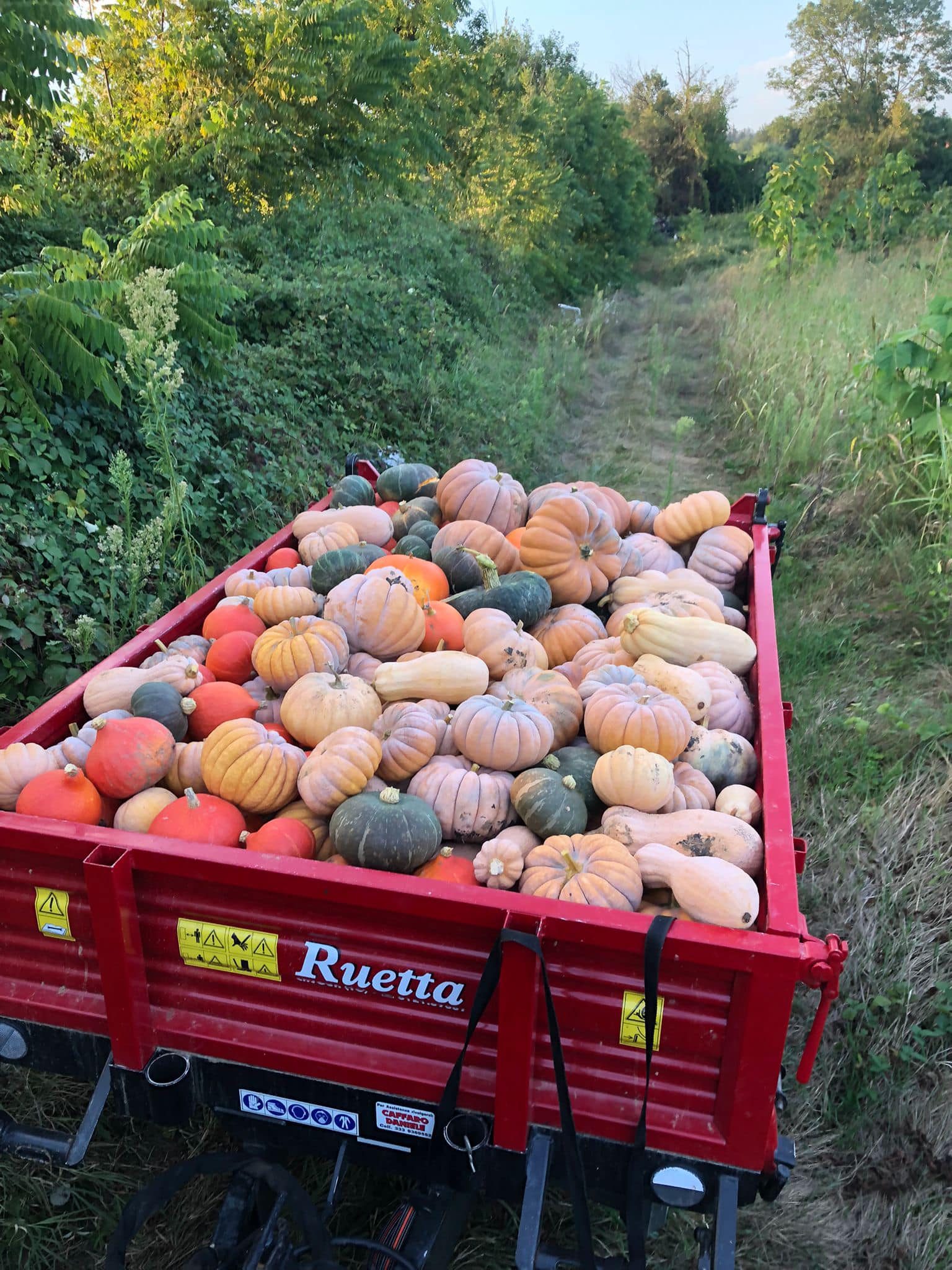 Azienda agricola Quaglio