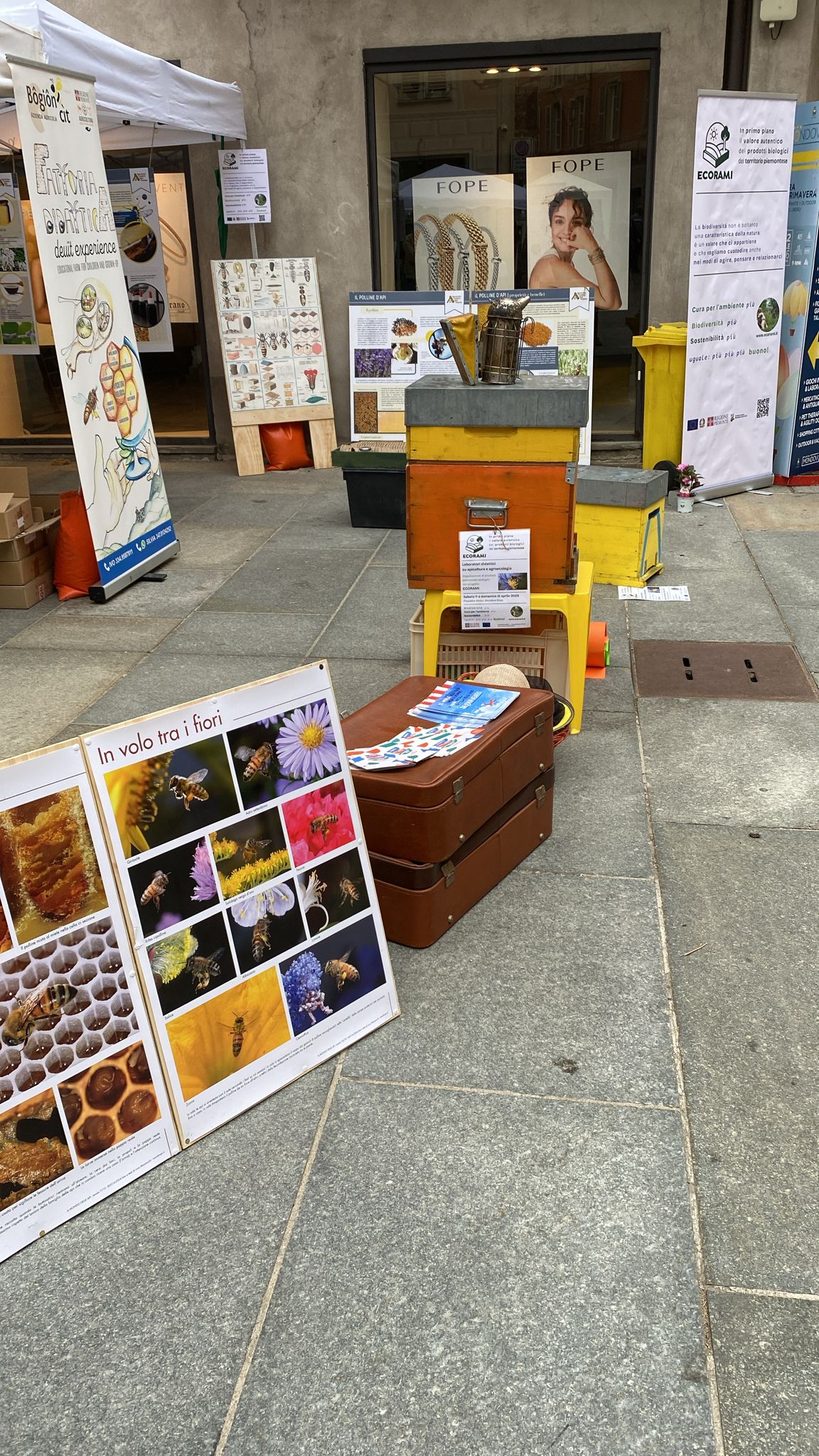 Fiera di Primavera, Mondovì